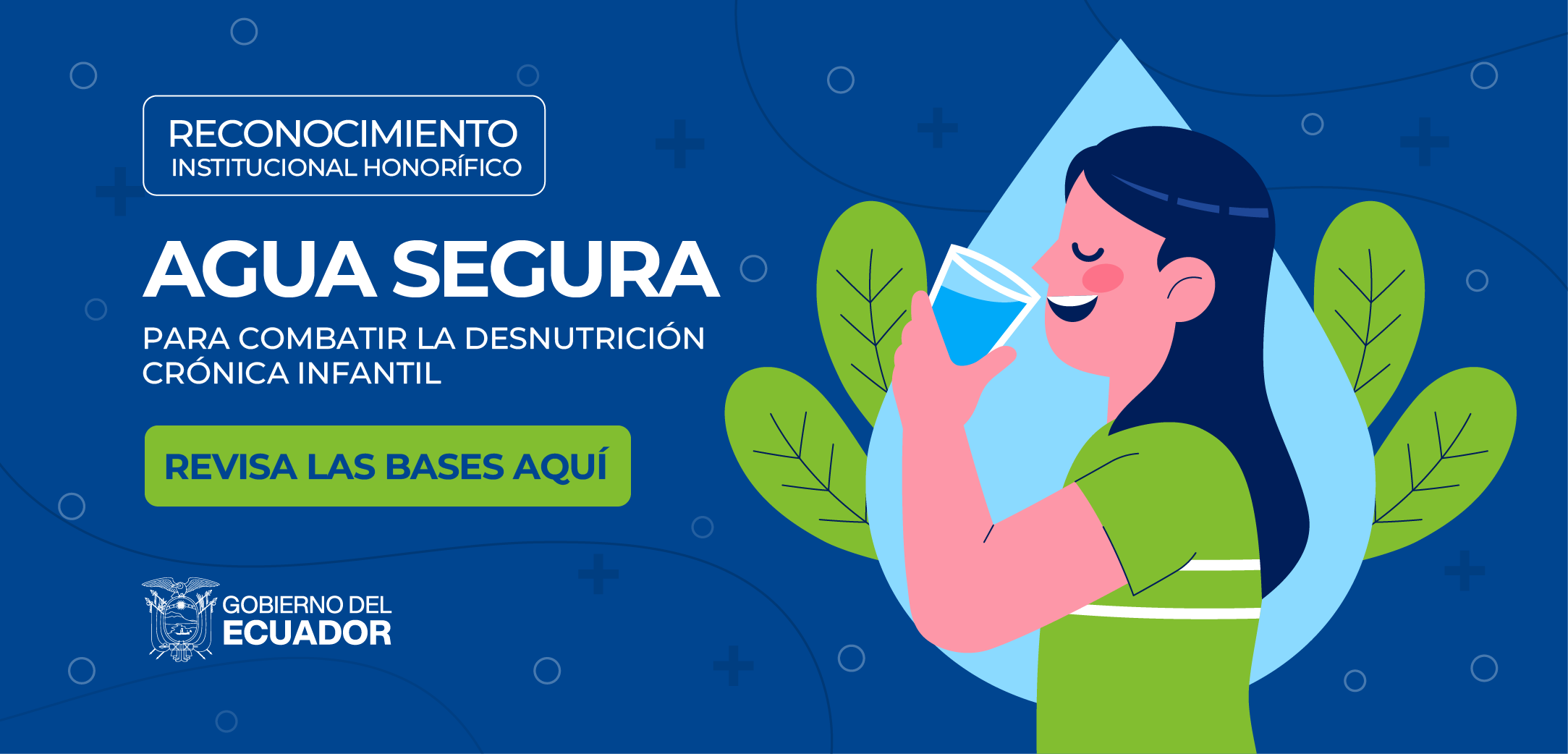 Reconocimiento Institucional Honorífico Agua Segura para combatir la Desnutrición Crónica Infantil